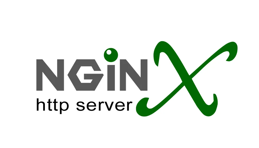 Nginx 标志动画，来自 2017 年原文章配图